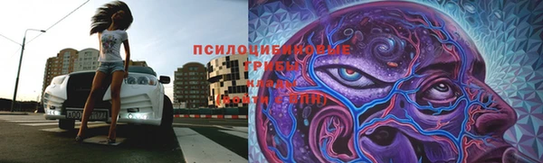 таблы Алексин