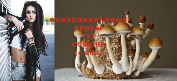 таблы Алексин