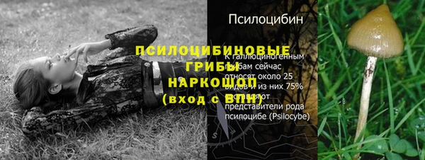 герыч Алзамай