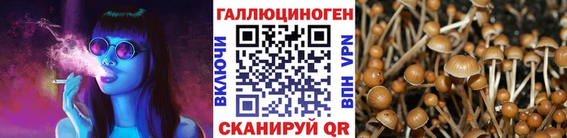 Галлюциногенные грибы мухоморы  как найти закладки  Нижние Серги 